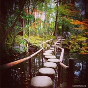 天授庵 - 天寿庵のお庭の橋は面白い。