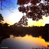 平安神宮の池です