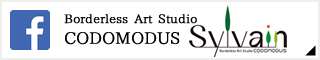 Borderless Art Studio CODOMODUS Facebook