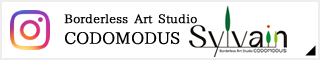 Borderless Art Studio CODOMODUS Instagram